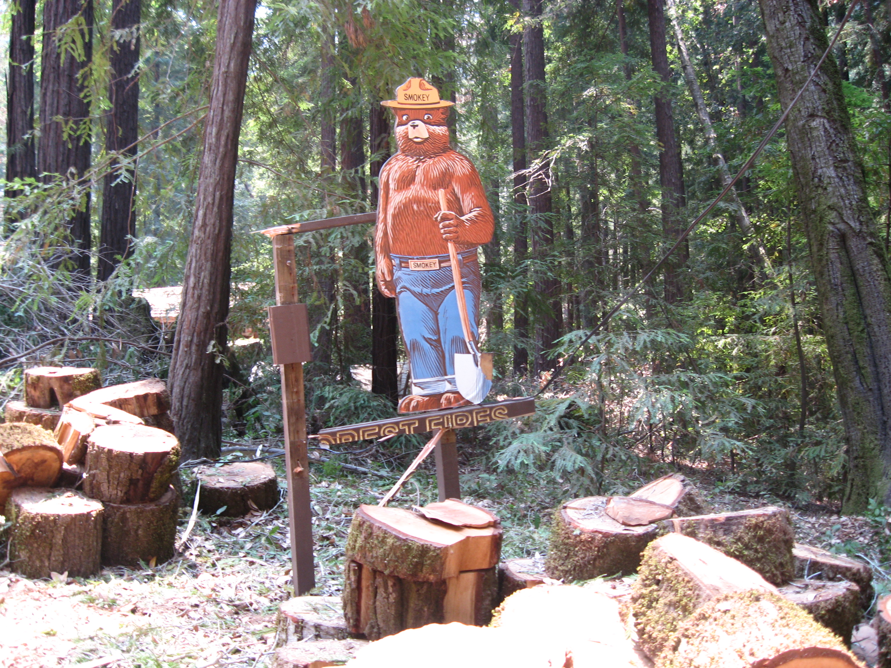 smokey_the_bear_sign.jpg