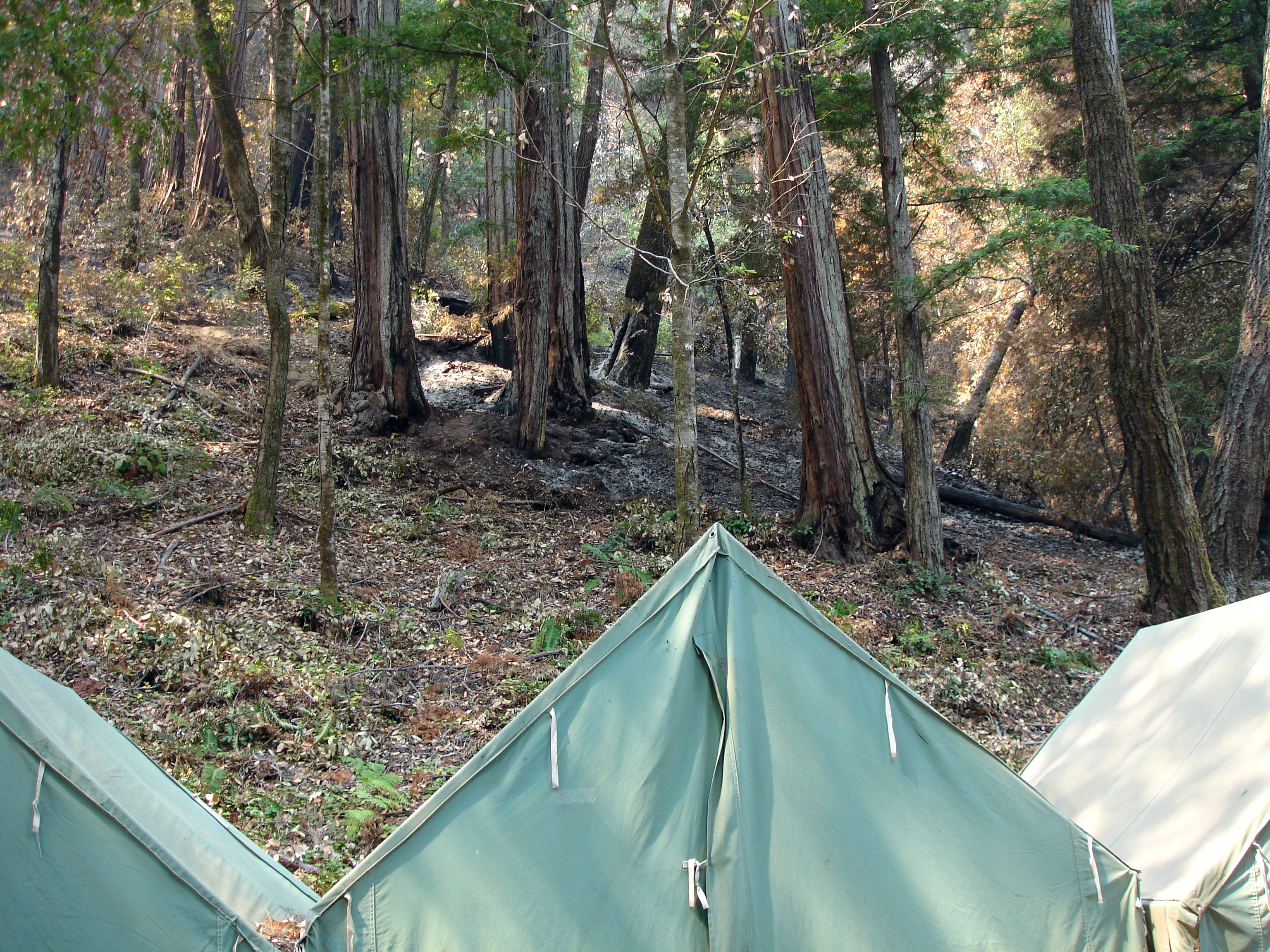 staff_hill_tents.jpg